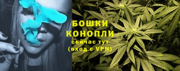 ALPHA PVP Белокуриха