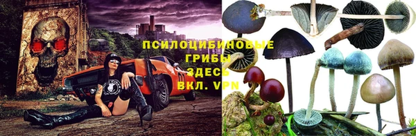 трава Баксан