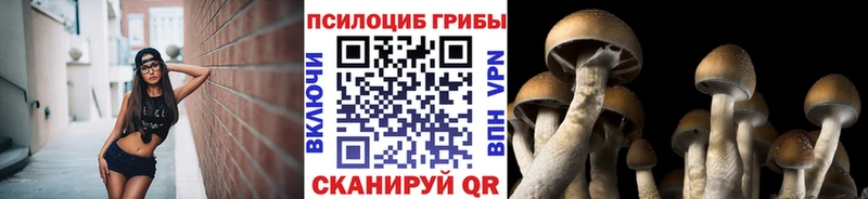 Псилоцибиновые грибы MAGIC MUSHROOMS  Нижний Ломов 